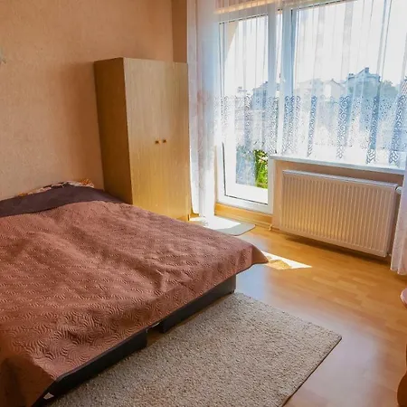 Goscinne Marek * Władysławowo